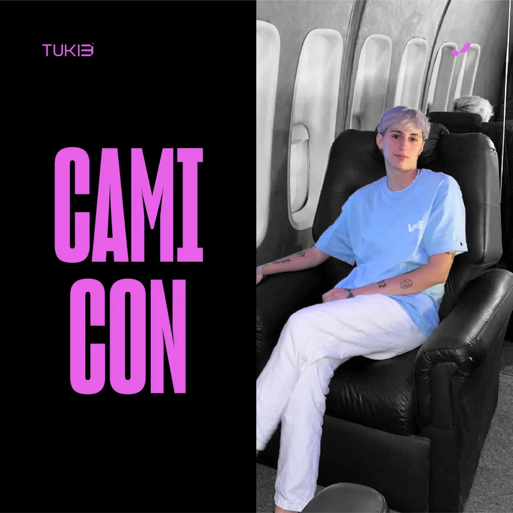 Camicon